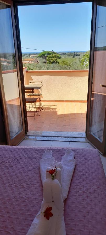 Agriturismo Il Vecchio Olivo كاستاجنيتو كاردوتشي المظهر الخارجي الصورة