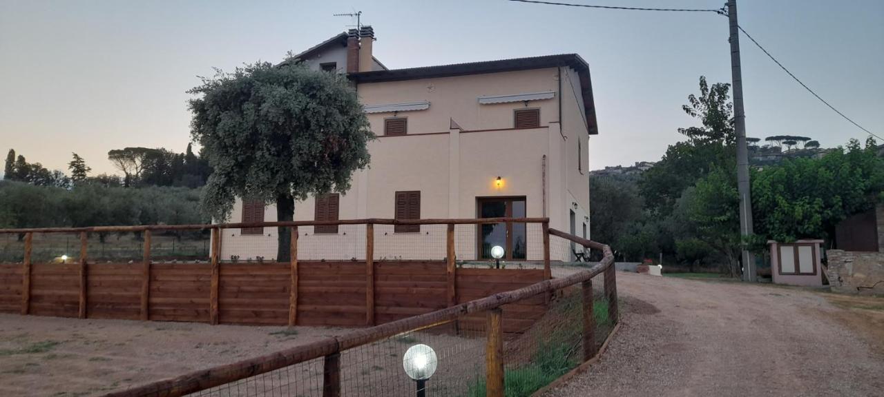 Agriturismo Il Vecchio Olivo كاستاجنيتو كاردوتشي المظهر الخارجي الصورة