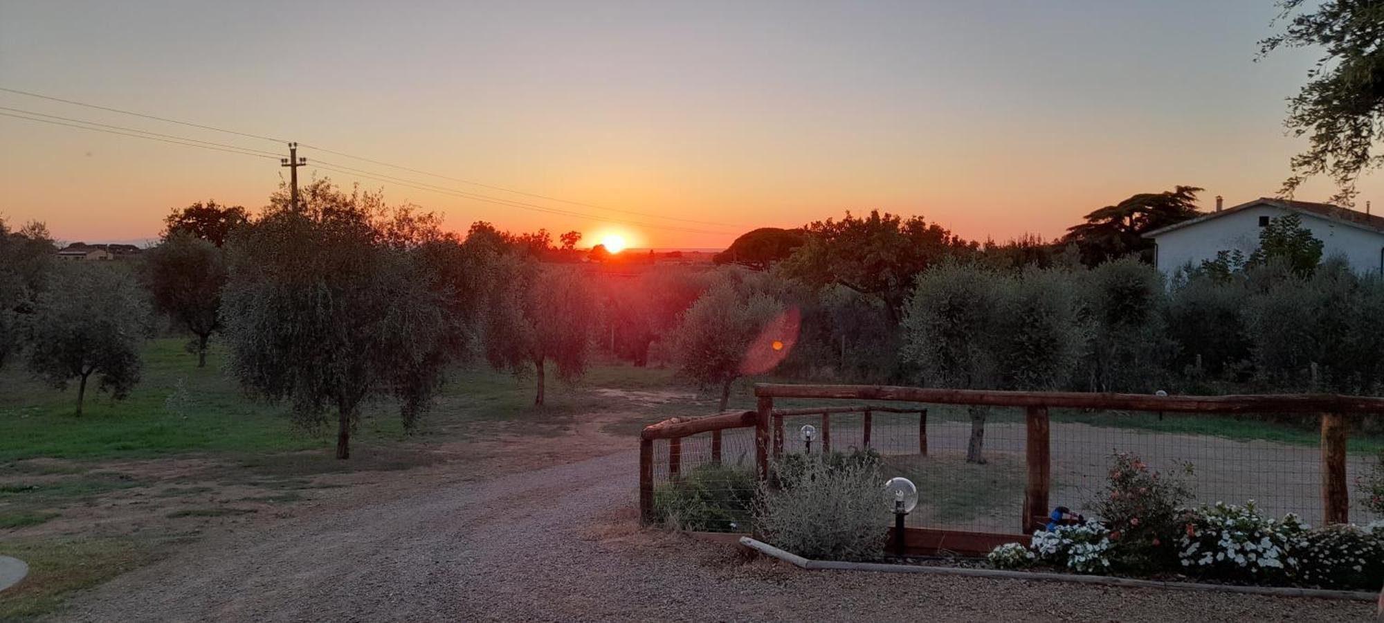 Agriturismo Il Vecchio Olivo كاستاجنيتو كاردوتشي المظهر الخارجي الصورة